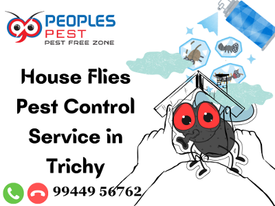 House Flies Pest Control Service in Trichy